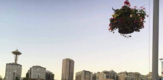 TERE, mina olen Anna-Liisa Sepp