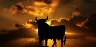 TERE, mina olen Yoko Nicola Lüdimois